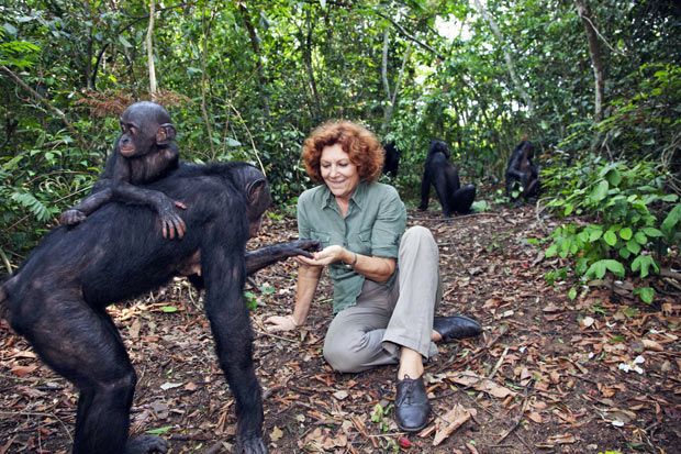 Lola ya Bonobo